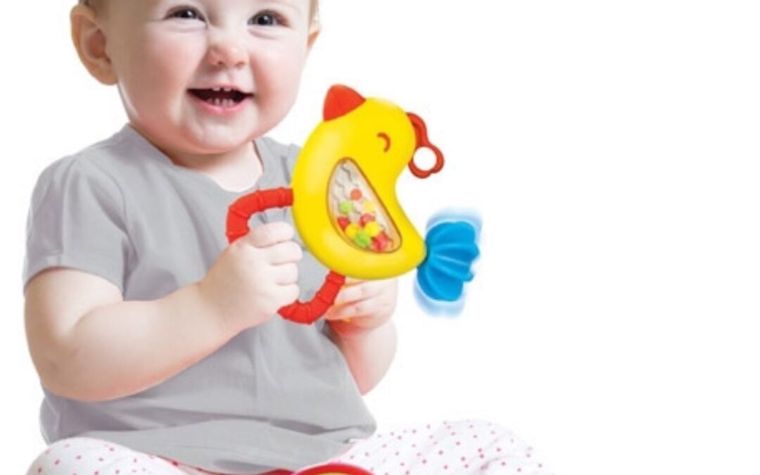 Bird Activity Teether